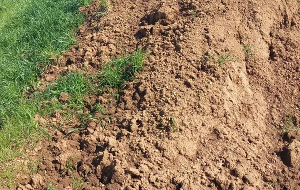 Terre et gravats 80m3 de terre végétale