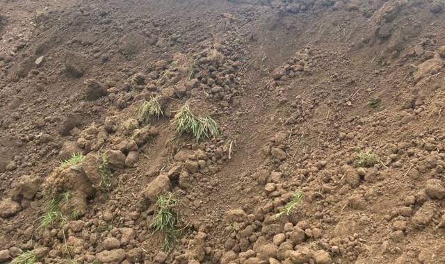 Terre et gravats Terre végétale