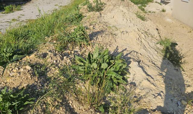 Terre et gravats terre de remblais (argilo calcaire)