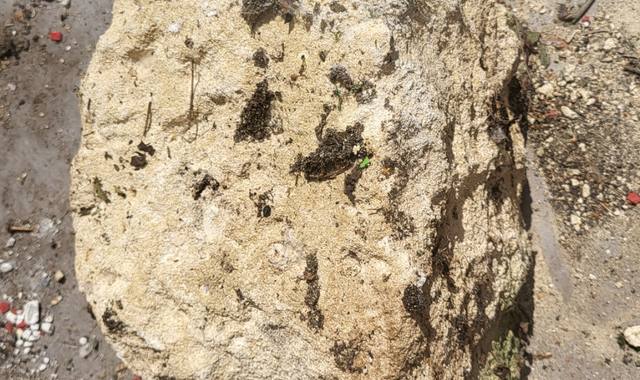 Terre et gravats pierre en calcaire pour muret ou rocaille de jardin