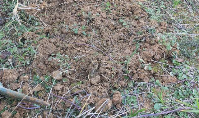 Terre et gravats je donne 80m3 environ de la terre de mon jardin gratuitement décaissé dans des b