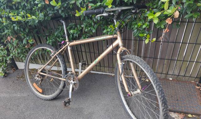 Vélo vélo adulte