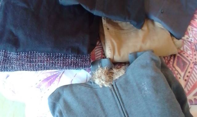 Vêtements vêtements homme