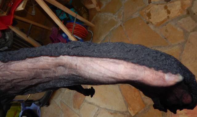 Vêtements collant fin fantaisie