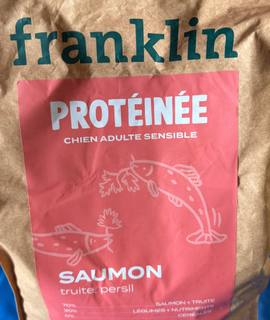 Accessoires pour animaux croquette chien franklin