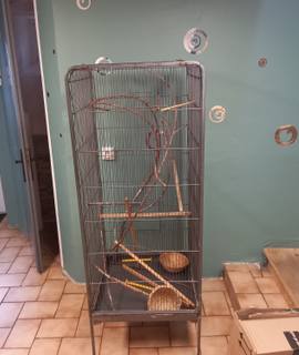 Accessoires pour animaux volière