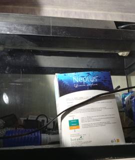 Accessoires pour animaux aquarium 60 L