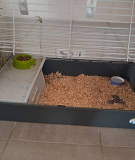 Accessoires pour animaux cage lapin + alimentation