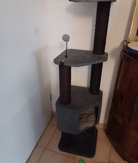 Accessoires pour animaux bonjour je donne UN ARBRE À CHATS