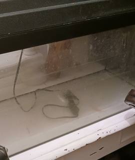 Accessoires pour animaux 2 Aquariums