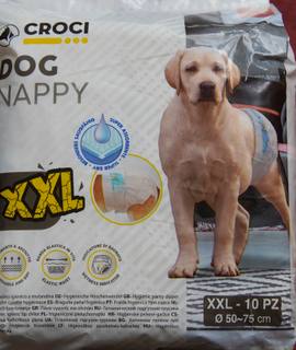 Accessoires pour animaux couches pour gros chien