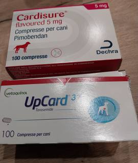 Accessoires pour animaux cardisure upcard