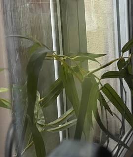 Accessoires pour animaux aquarium 50 Litres + tous accessoires