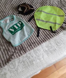 Accessoires pour animaux manteau et casquette pour petit chien