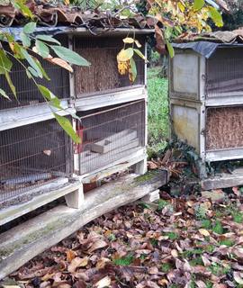 Accessoires pour animaux lapinieres en béton
