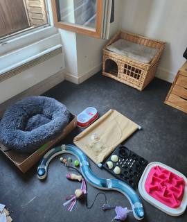 Accessoires pour animaux uRGENT : donne plusieurs objets pour chat