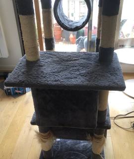 Accessoires pour animaux arbre à chat