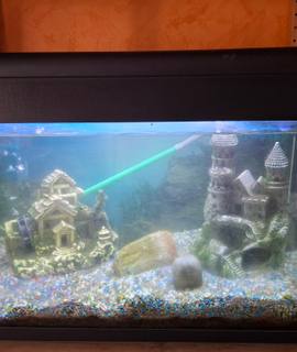Accessoires pour animaux urgent AQUARIUM Bon état Tout matériel