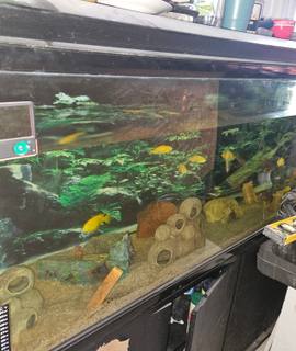 Accessoires pour animaux aquarium 500 litres avec pompes 1200litre