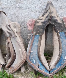 Antiquités colliers animaux