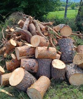 Divers stères de bois
