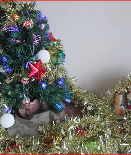 Divers petit sapin à poser sur 1 meuble, branches dépliables illuminées (2ans) + décos