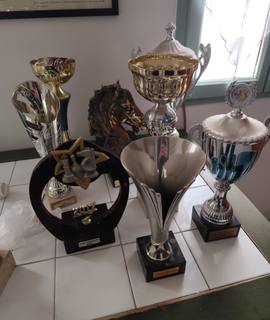 Divers lot de coupes