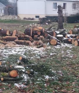 Divers bois de chauffage