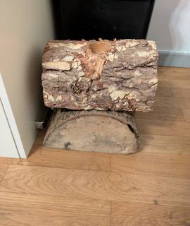 Divers 2 demi bûche pied de sapin de Noël