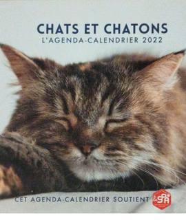 Divers calendrier de chats