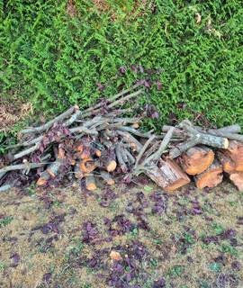 Divers je donne bois de chauffage