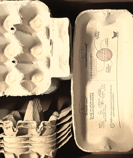 Divers lot de boites d'oeufs en carton - tailles diverses