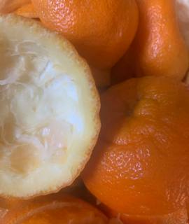 Divers pelures d’orange amère bio
