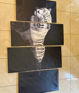 Divers tableau Tigre