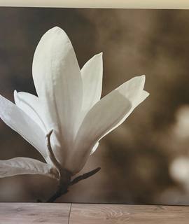 Divers cadre Fleur de coton