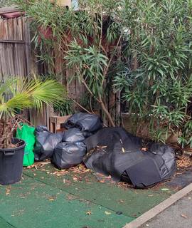 Divers 150 bouteilles plastiques