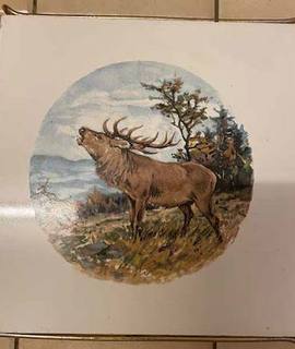 Electroménager Dessous de Plat en Céramique