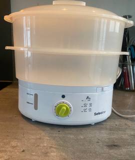 Electroménager cuit vapeur