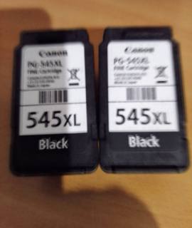 Informatique deux cartouches encre CANON 545 XL