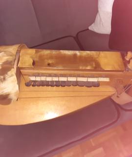 Instruments de musique vielle à roue