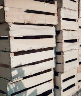 Jardinage caissettes en bois