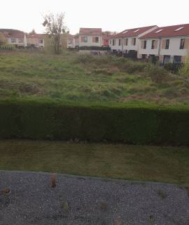 Jardinage 42 cyprès