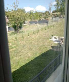 Jardinage cypres 50 cm