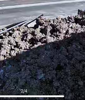 Jardinage terre gratuitement à la grande paroisse