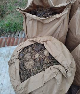 Jardinage crottin pour amendement