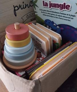 Jeux, Jouets livres pour touts petits + jouet bois