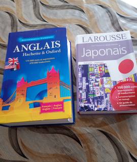 Livres-Revues 2 dictionnaires (anglais et japonais)