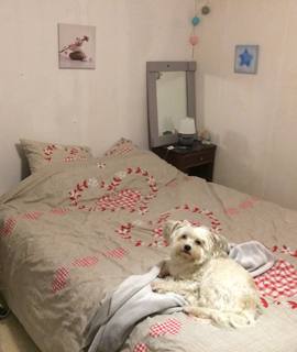 Literie chambre lit & chevet