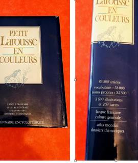 Livres-Revues dictionnaire Larousse, parfait état.