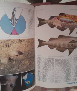 Livres-Revues encyclopédie COUSTEAU "La Planète Océans"